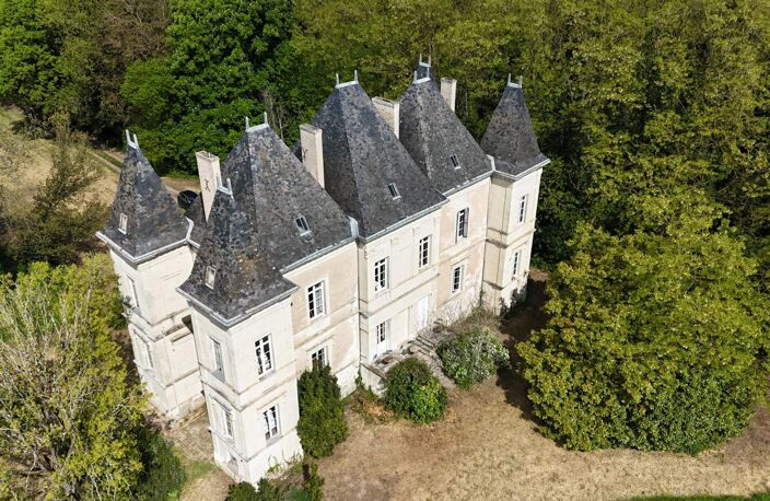 Château 19éme proche de Saumur (49) — photo 3