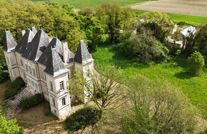 Château 19éme proche de Saumur (49) — photo 4