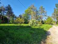 Authentique maison vigneronne au calme — photo 4