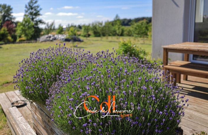 Grande maison familiale, immense terrain au calme, plein Sud. — photo 3