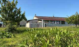 Maison 4 Pièces 120 m² à vendre à Sainte-Foy-d'Aigrefeuille (31570)