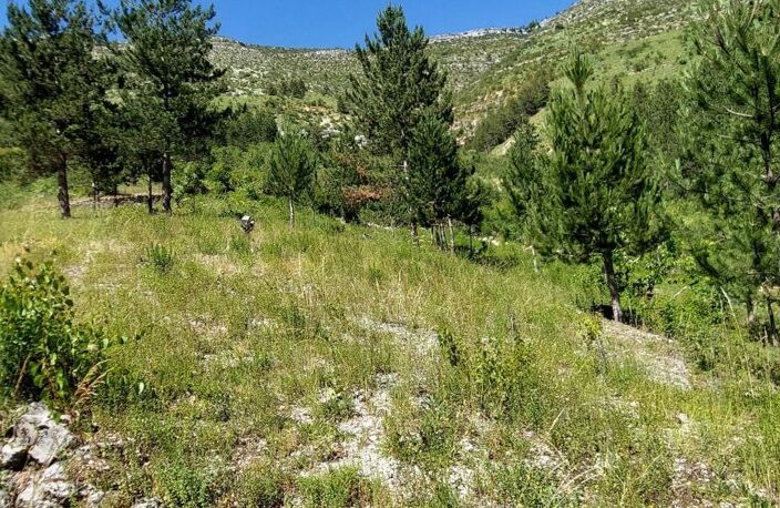 -A VENDRE- PRADES 48210 St Enimie TERRAIN CONSTRUCTIBLE non viabilisé de 3265m2 108 000€ — photo 4