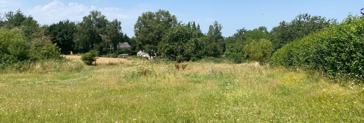 Terrain  1616 m² à vendre à La Bazoque (61100)