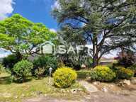 Ensemble immobilier de Caractère à #Chablis 89800 — photo 4