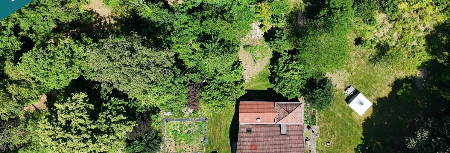 Maison 17 Pièces 700 m² à vendre à Rupt-sur-Moselle (88360)