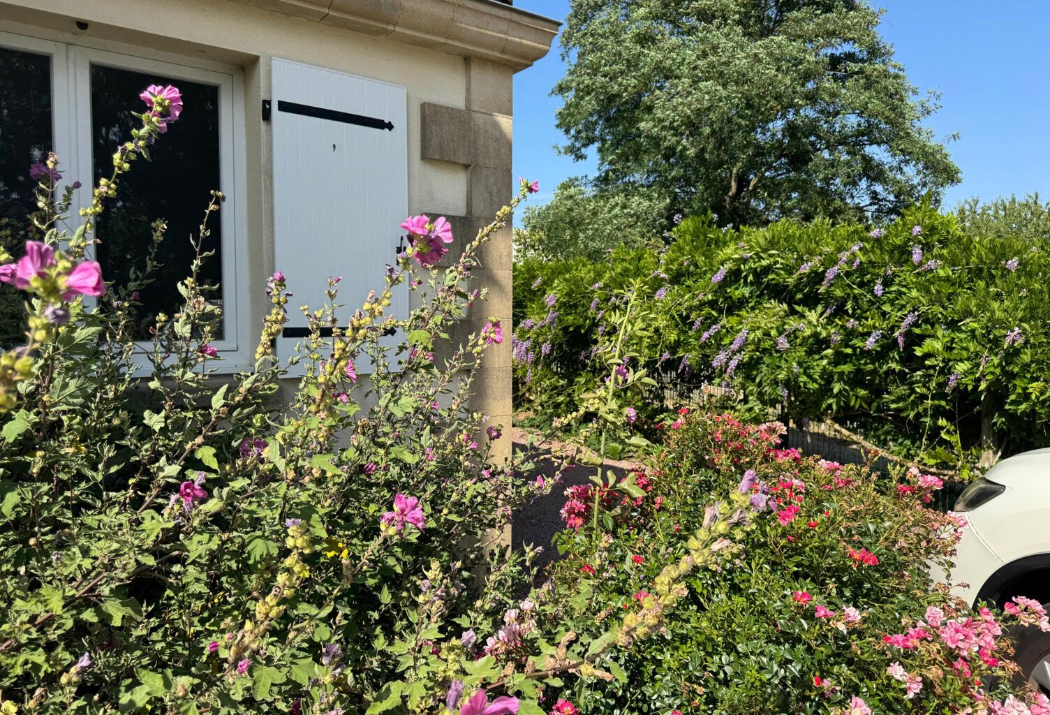 Le calme de la campagne aux portes de la ville. — photo 1
