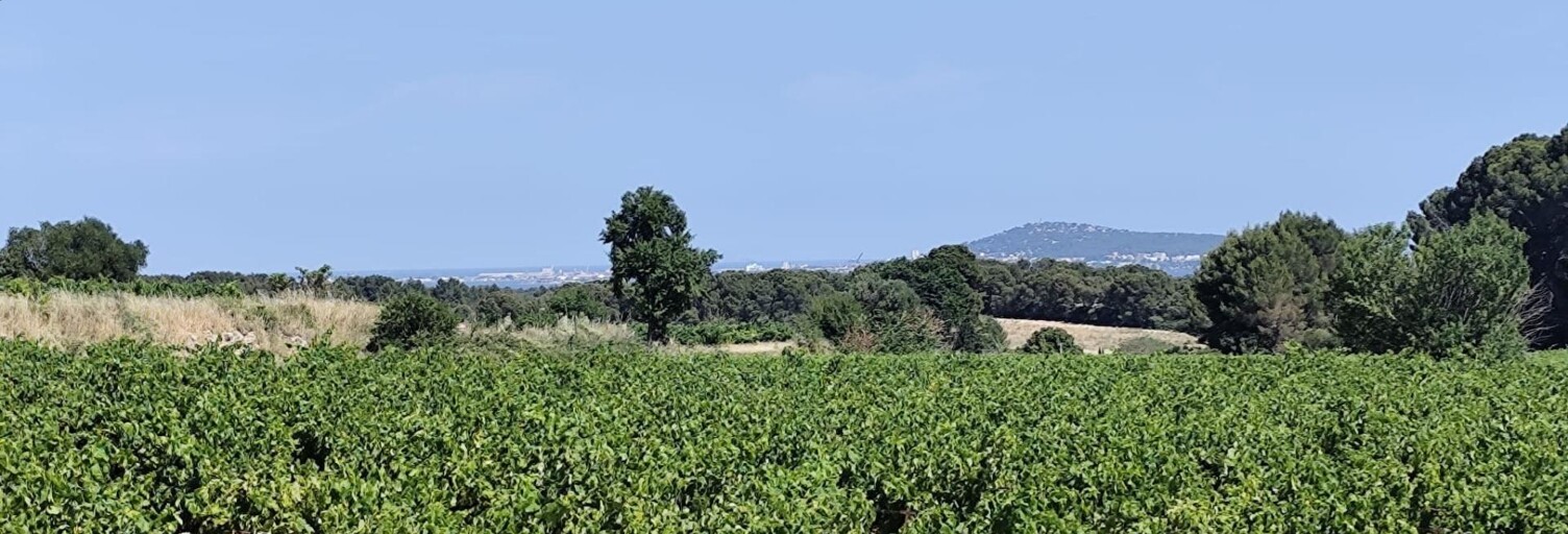 Terrain  4800 m² à vendre à Montagnac (34530)