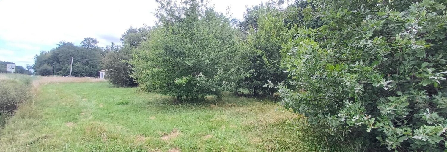 Terrain  733 m² à vendre à Salaunes (33160)