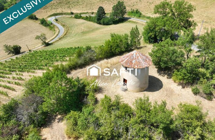 Moulin, vignes et vue Pyrénées à 360° — photo 3