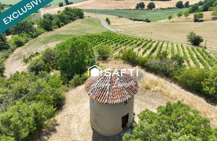Moulin, vignes et vue Pyrénées à 360° — photo 4