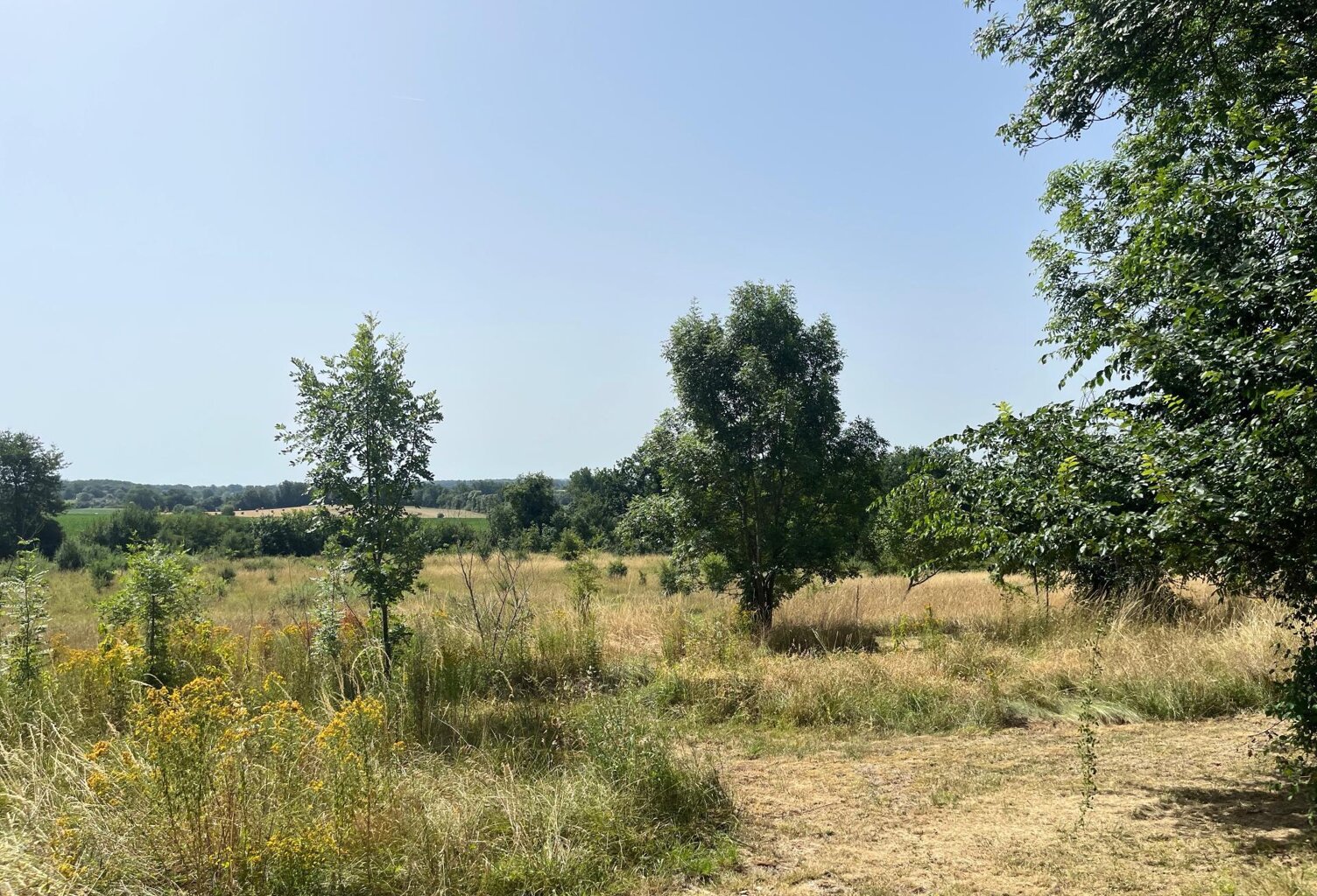 Maison à la campagne. — photo 1