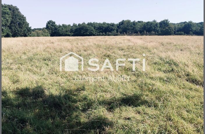 Maison en campagne avec grand terrain ! — photo 4