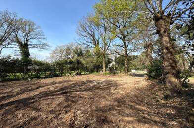 Terrain  57000 €