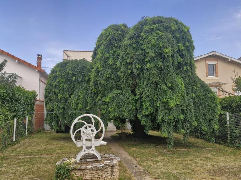 Maison de ville non mitoyenne avec terrain — photo 1