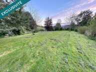 Etang de 1000 m2 sur un terrain de 2740 m2 — photo 3