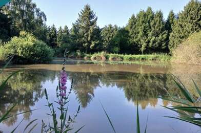 Terrain  49000 €