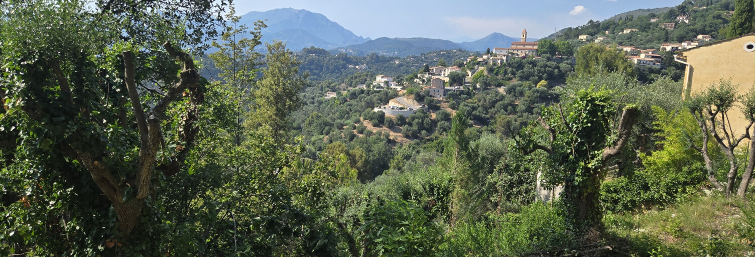 Terrain  820 m² à vendre à Castagniers (06670)