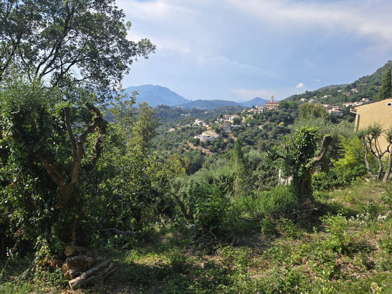Terrain à bâtir au calme et ensoleillé — photo 1