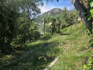 Terrain à bâtir au calme et ensoleillé — photo 2