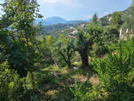 Terrain à bâtir au calme et ensoleillé — photo 3