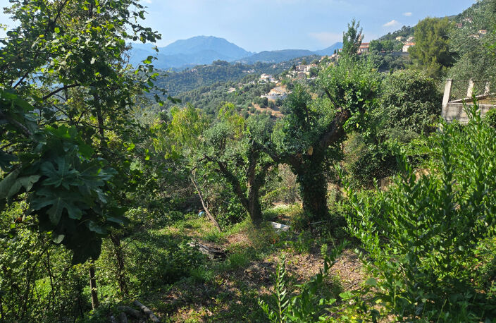 Terrain à bâtir au calme et ensoleillé — photo 3
