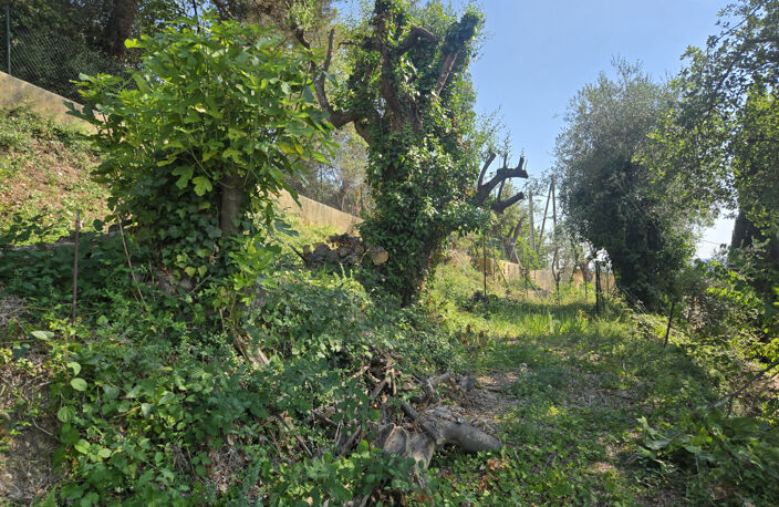 Terrain à bâtir au calme et ensoleillé — photo 4