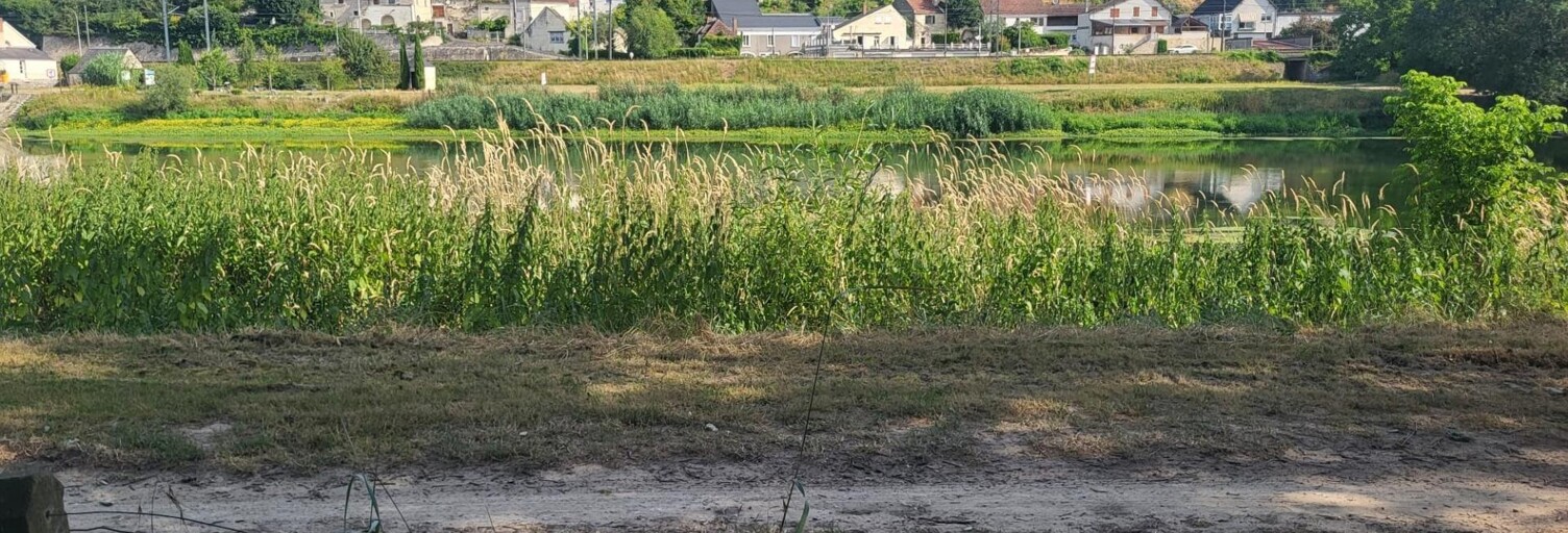Terrain  12500 m² à vendre à Montrichard Val de Cher (41400)