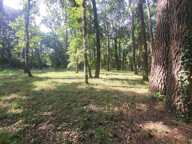 Terrain de loisir, ^proche du cher avec une retenue d'eau, entierement clos, propice au calme a la verdure — photo 2
