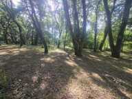 Terrain de loisir, ^proche du cher avec une retenue d'eau, entierement clos, propice au calme a la verdure — photo 4