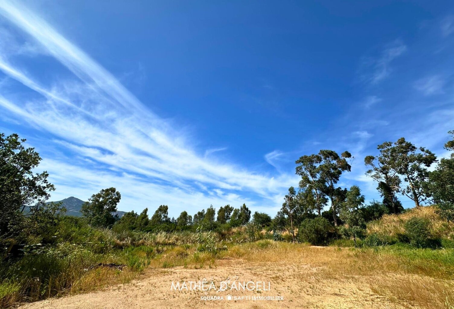 Rare en Balagne 2 620 m2 constructibles — photo 1