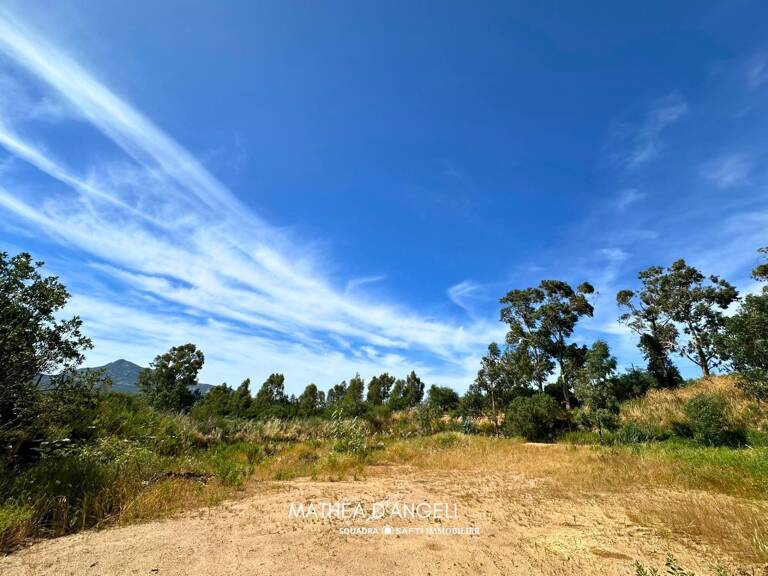Rare en Balagne 2 620 m2 constructibles — photo 1