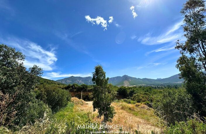 Rare en Balagne 2 620 m2 constructibles — photo 2