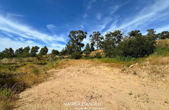 Rare en Balagne 2 620 m2 constructibles — photo 3