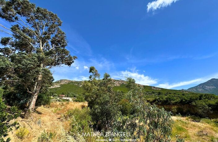 Rare en Balagne 2 620 m2 constructibles — photo 4