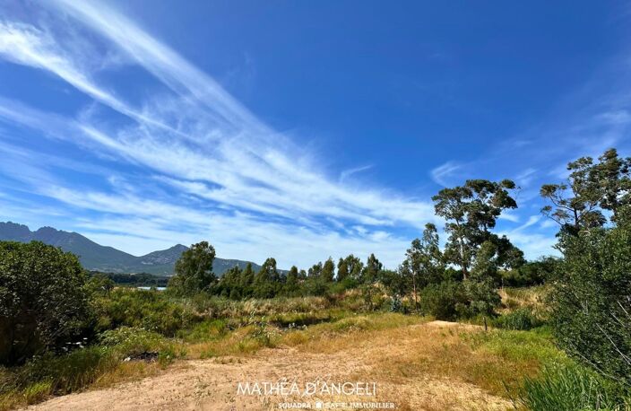 Rare en Balagne 2 620 m2 constructibles — photo 5