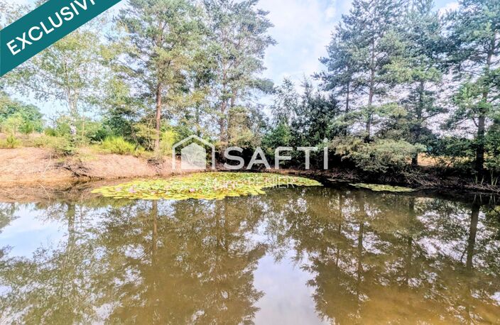 Terrain de loisirs arboré avec étang à Aubigné-Racan — photo 4