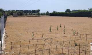 Terrain  1579 m² à vendre à Champigny-sur-Veude (37120)