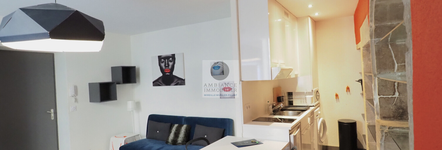 Appartement 1 Pièce 25 m² à louer à Valence (26000)
