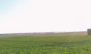 Terrain  1476 m² à vendre à Mesnil-Sellières (10220)