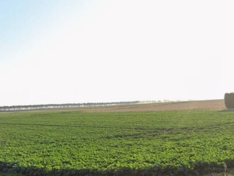 Vente Terrain agricole 1 476 m&sup2; — photo 1