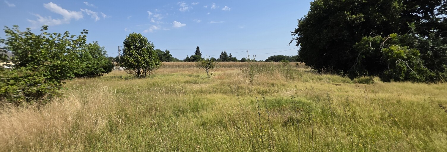 Terrain  1464 m² à vendre à Saint-Senoux (35580)