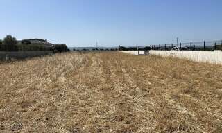 Terrain  777 m² à vendre à Jonquières (34725)