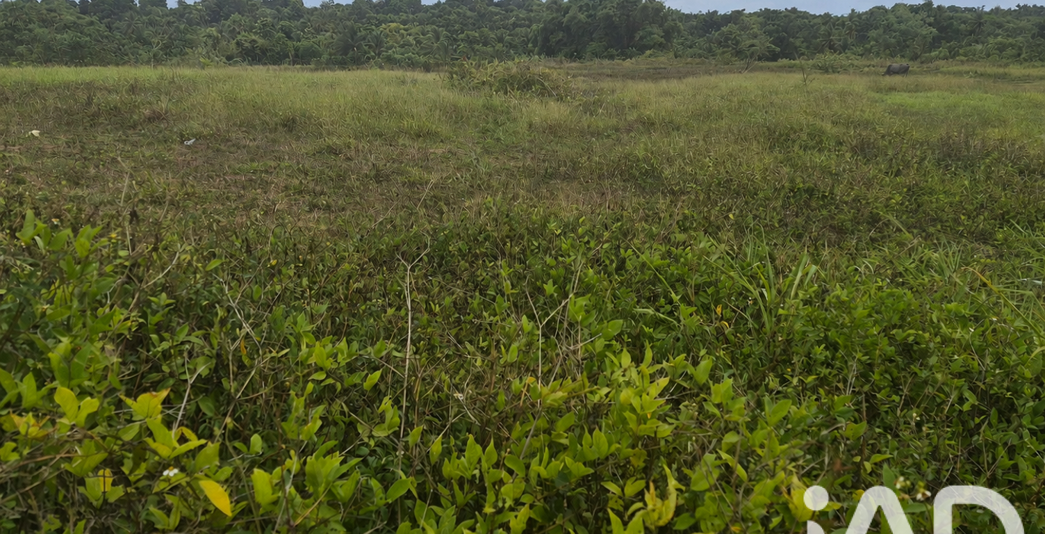 Vente Terrain à bâtir 10 000 m&sup2; — photo 1