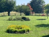 Propriété — photo 3