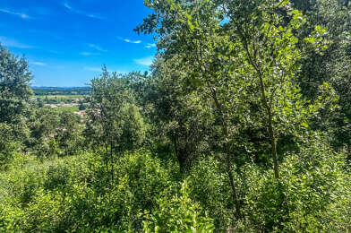 Terrain  173000 €
