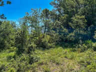 Sur les hauteurs, magnifique terrain constructible — photo 3