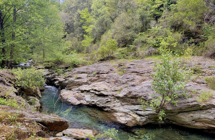 Propriété / Gîtes en Cévennes : Hameau complet sur 22 hectares avec piscine, rivière et dépendances — photo 2