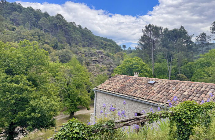 Propriété / Gîtes en Cévennes : Hameau complet sur 22 hectares avec piscine, rivière et dépendances — photo 4