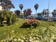 Cannes Midi — Studio en front de mer avec parking privé — photo 2
