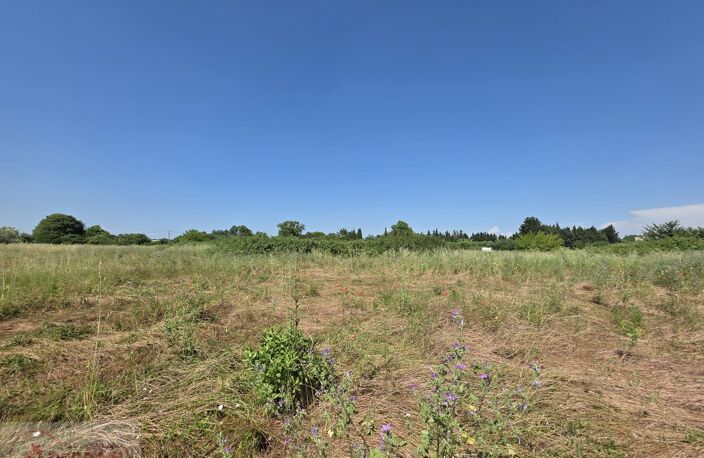 Terrain — photo 2